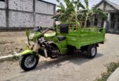 2019 A.P.C Motor Company viar 2019 cc 150 long