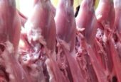 Daging Kelinci Fresh Gurih dan tidak amis