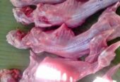 Daging Kelinci Fresh Gurih dan tidak amis