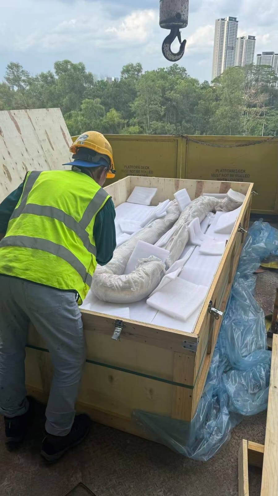Jasa Import Barang India-Jakarta