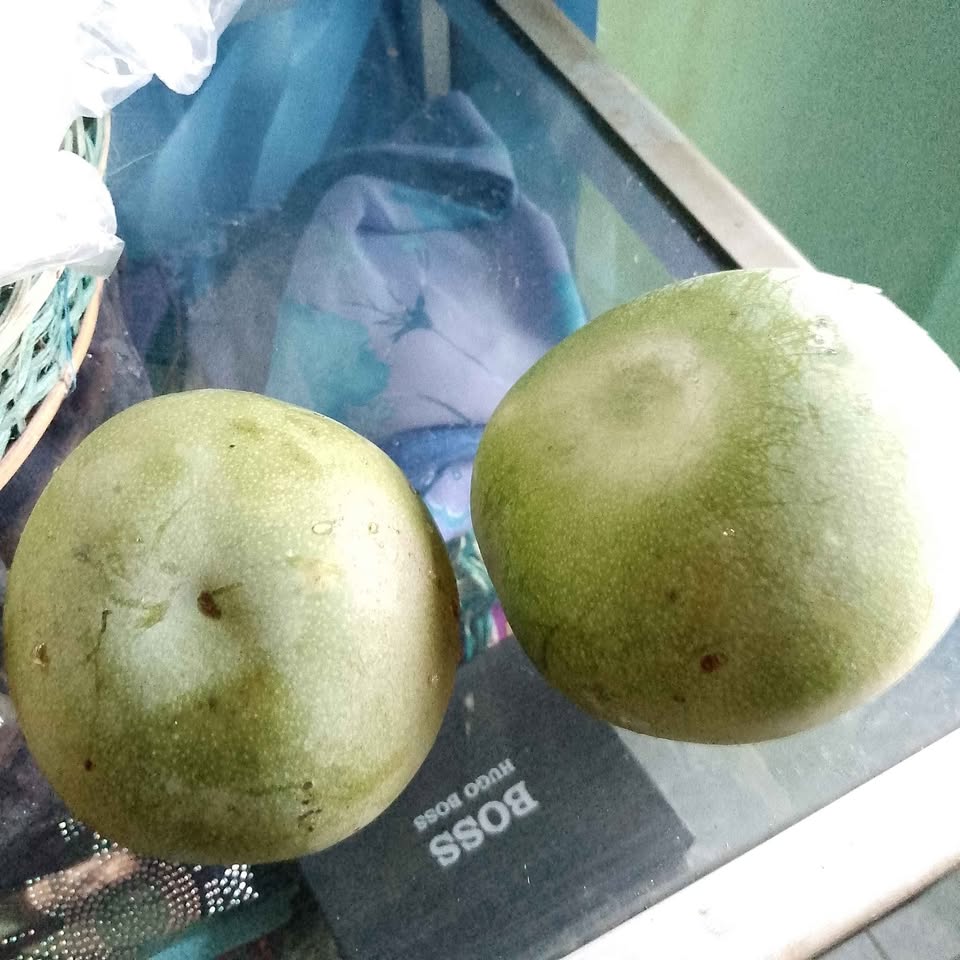 Mangga apel gasan mencok jaminan segar