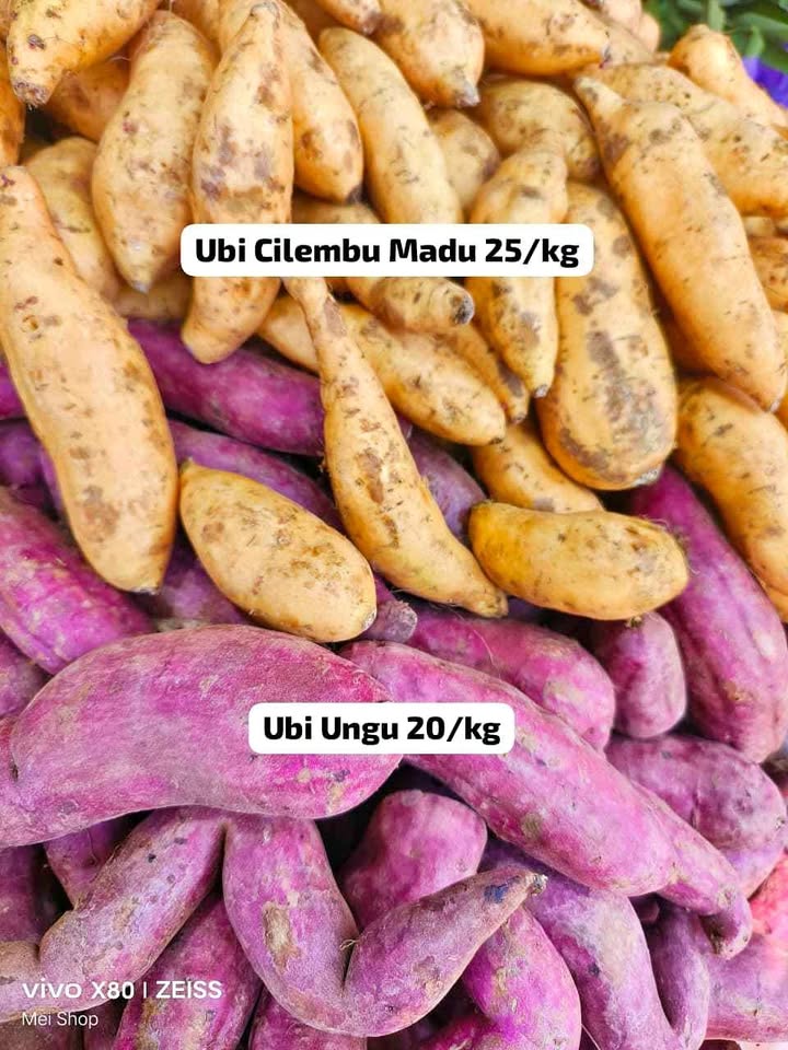 Ubi ungu dan Ubi cilembu