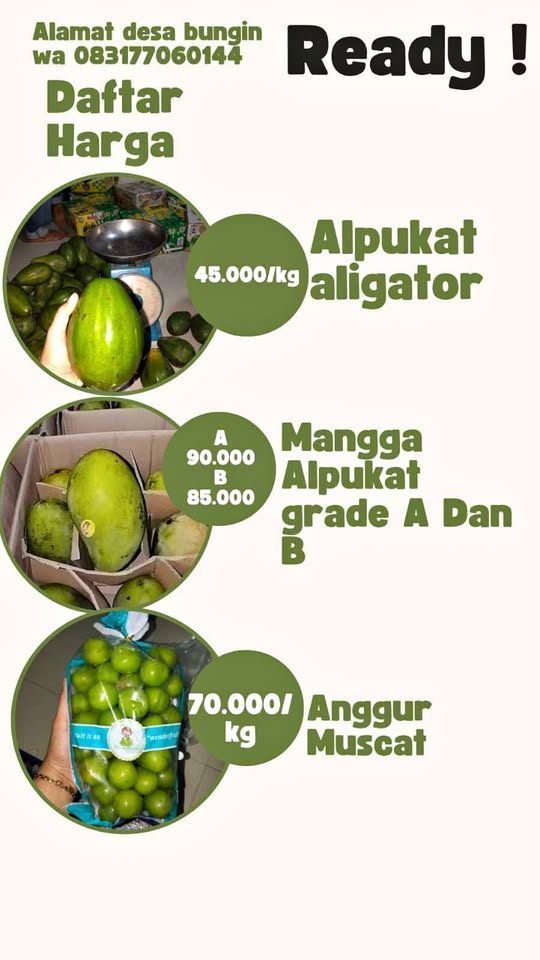 Ready buah fresh segar manis