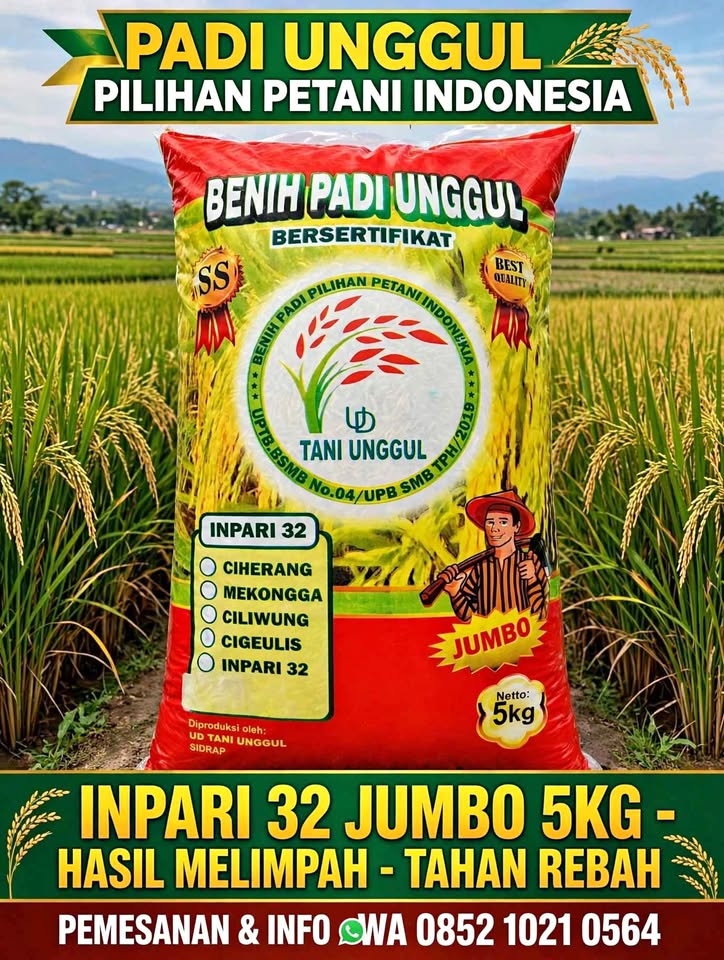 Jual benih padi unggul premium
