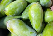 Mangga kiojay fresh kres manis