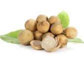 Duku Madu fresh jaminan manis